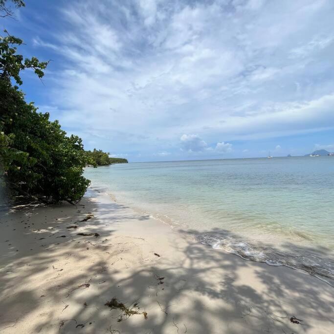 Studio La «Kaz' A Coco» Anse Caritan Sainte-Anne Buitenkant foto