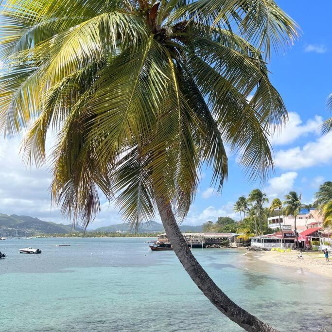 Studio La «Kaz' A Coco» Anse Caritan Sainte-Anne Buitenkant foto